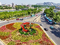 图集 | 花团锦簇迎“五一”
