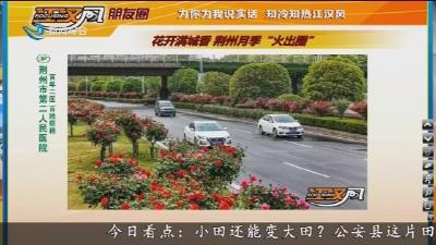 小风的朋友圈 2025-04-27