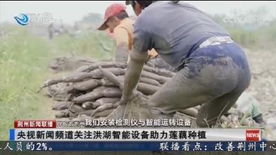 央视新闻频道关注洪湖智能设备助力莲藕种植
