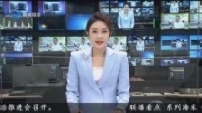 荆州楚王车马阵 等你来 “驾” 到