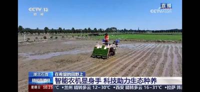 央视关注：荆州这块稻田里鸭欢蛙鸣！