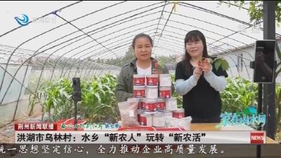 洪湖市乌林村：水乡“新农人” 玩转“新农活”
