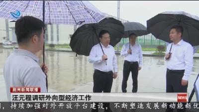 汪元程调研外向型经济工作