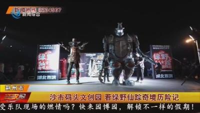 沙市码头文创园 看绿野仙踪奇境历险记