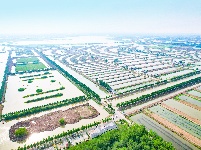 图集 | 公安县崇湖国家湿地公园美在当“夏”
