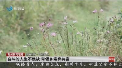 奋斗的人生不残缺 带领乡亲奔共富