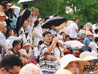 图集 | 一场龙舟赛 欢乐一座城