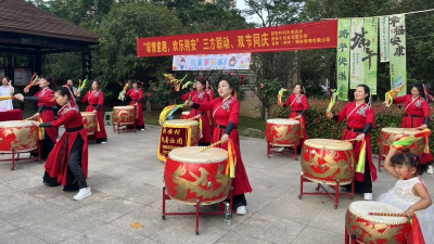 网络中国节· 端午 | 荆州区郢城镇荆安村开展端午、儿童双节同庆活动