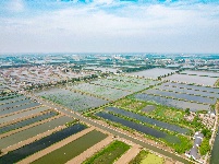 图集 | 公安县崇湖国家湿地公园美在当“夏”
