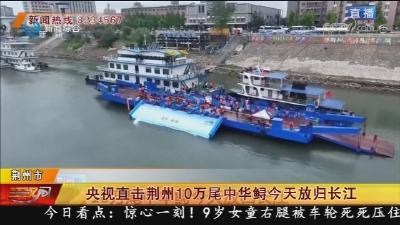 央视直击荆州10万尾中华鲟今天放归长江