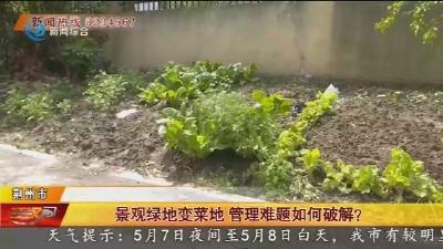 景观绿地变菜地 管理难题如何破解？