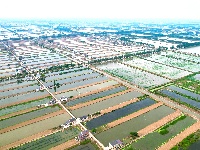 图集 | 公安县崇湖国家湿地公园美在当“夏”
