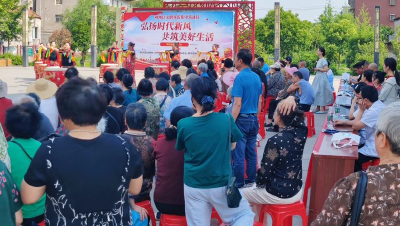 志愿服务 传递温暖 荆州区文明实践集中活动日走进弥市镇