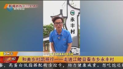 和美乡村凯哥行——走进江陵县秦市乡永丰村