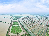 图集 | 公安县崇湖国家湿地公园美在当“夏”
