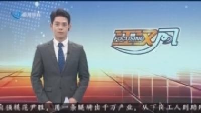 桨影翻飞人沸腾 荆城皆为 “龙舟热”