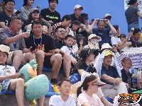 图集 | 一场龙舟赛 欢乐一座城