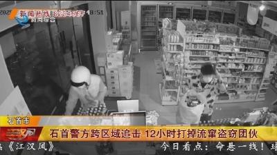 石首警方跨区域追击 12小时打掉流窜盗窃团伙