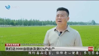 荆州新闻联播 2025-06-02