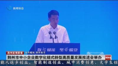 荆州市中小企业数字化链式转型高质量发展推进会举办