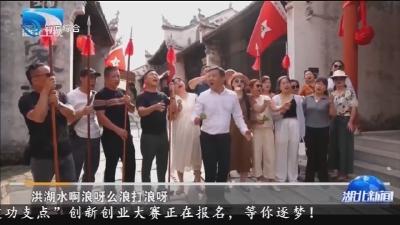 只为洪湖漾清波