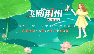 江汉风直播丨飞阅荆州 云游“荷”色生香的诗意夏日