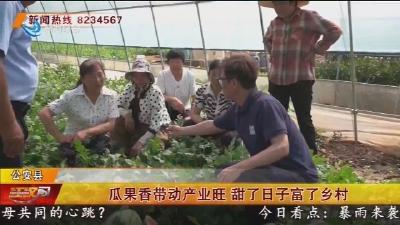 瓜果香带动产业旺 甜了日子富了乡村