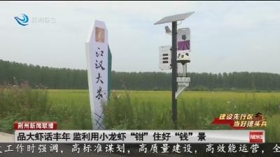 品大虾话丰年 监利用小龙虾“钳”住好“钱”景