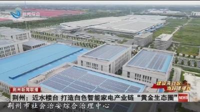 荆州：近水楼台 打造白色智能家电产业链“黄金生态圈”