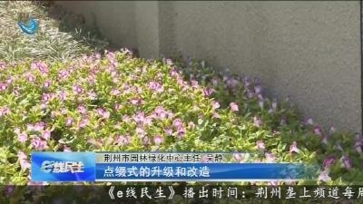 闲置裸露地“变形记”：拆违植绿焕新颜