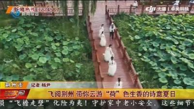 飞阅荆州 带你云游“荷”色生香的诗意夏日