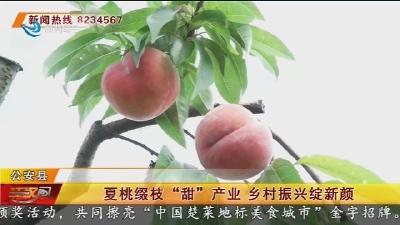 夏桃缀枝“甜”产业 乡村振兴绽新颜