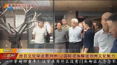 旅日文化学者看荆州 以国际视角解读荆州文化魅力