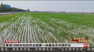 重返1988年划定的全国第一块基本农田保护区