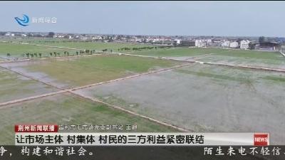 监利毛市镇：“小田并大田”改革 助力乡村振兴