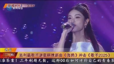 监利籍歌手湛嘉丽携新曲《海鸥》冲击《歌手2025》