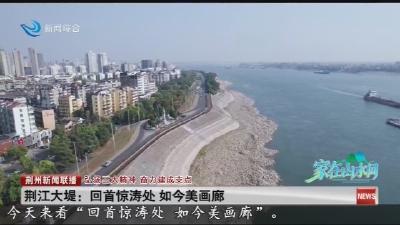 荆江大堤：回首惊涛处 如今美画廊