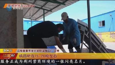江陵县秦市乡: 小龙虾走俏 乡亲笑开颜