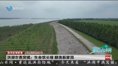 洪湖市燕窝镇:生命筑长堤 醇美新家园
