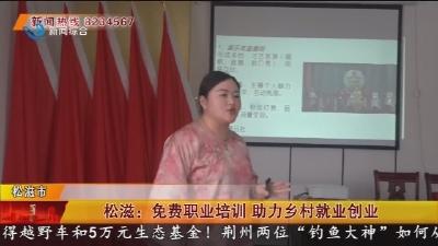 松滋：免费职业培训 助力乡村就业创业