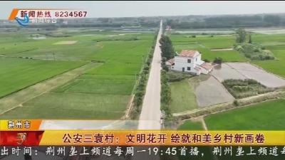 公安三袁村：文明花开 绘就和美乡村新画卷