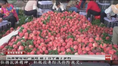 瓜果香带动产业旺 甜了日子富了乡村