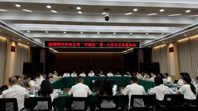 国网荆州供电公司：交叉互查织密专业监督网