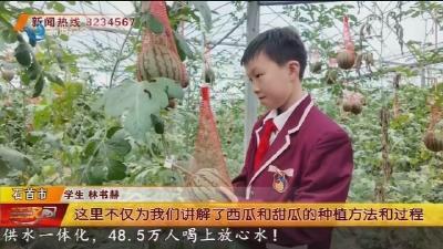 田间课堂:让科学的种子“生根发芽”