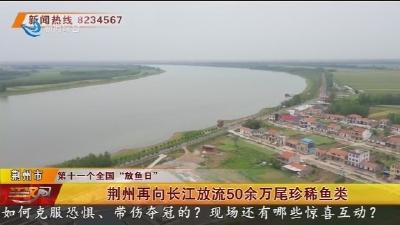 荆州再向长江放流50余万尾珍稀鱼类