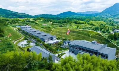 从红色动脉到共富通道，这里是大别山区的黄金走廊