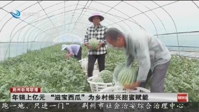 年销上亿元 “滋宝西瓜”为乡村振兴甜蜜赋能