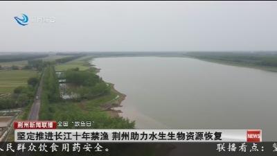 坚定推进长江十年禁渔 荆州助力水生生物资源恢复