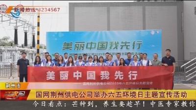 国网荆州供电公司举办六五环境日主题宣传活动