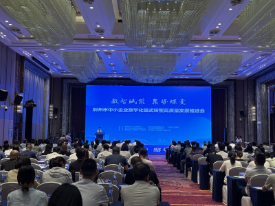 荆州市中小企业数字化链式转型高质量发展推进会举办